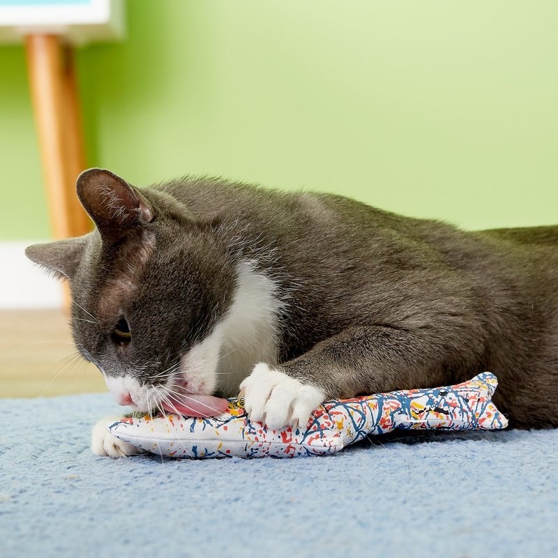 Cat Toys